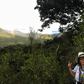 Colombia - Laughing Man Coffee
